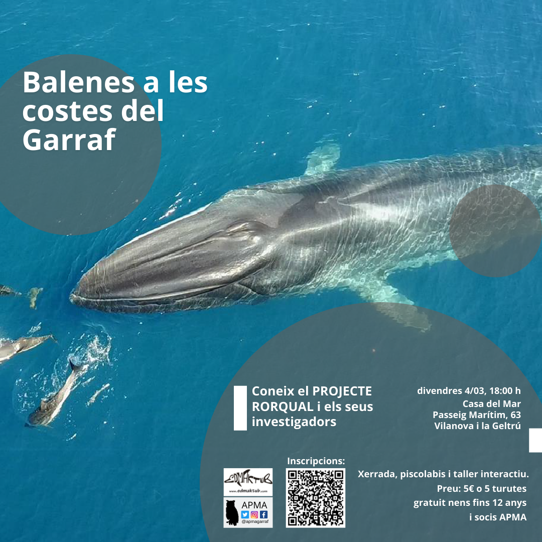 balenes a les costes del Garraf